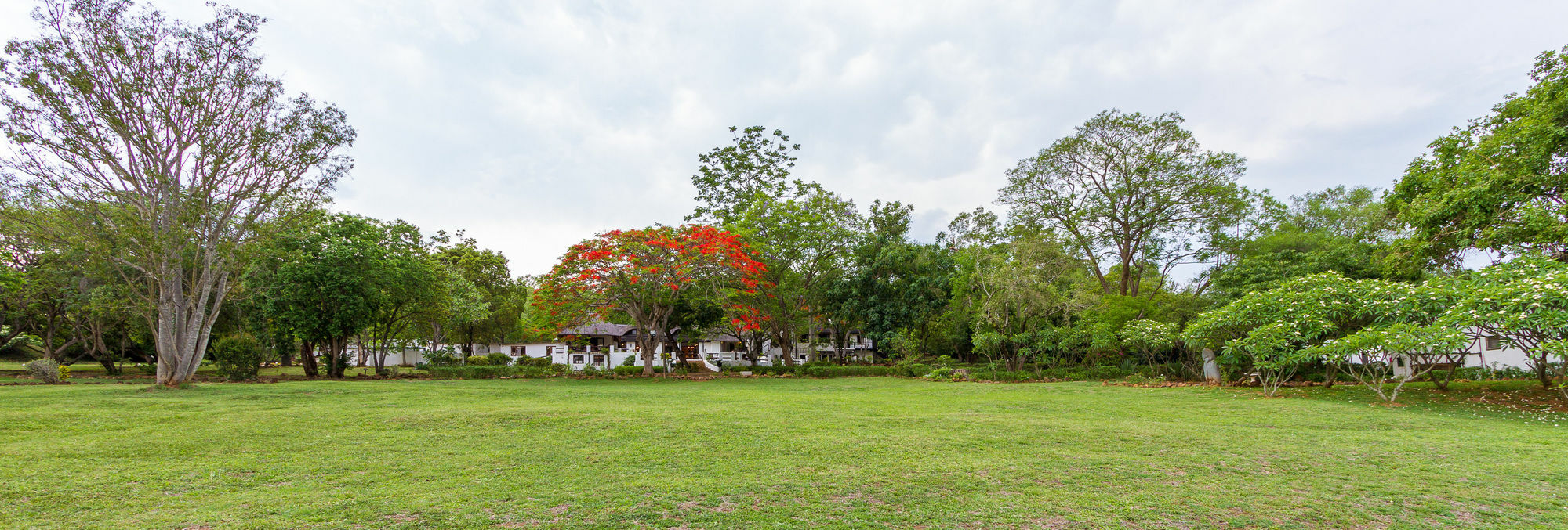 Rissington Inn هازيفيو المظهر الخارجي الصورة